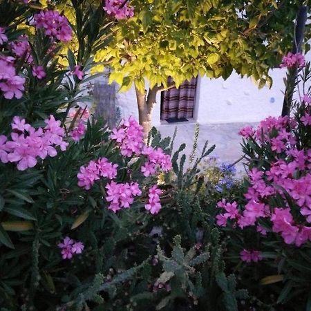 Cuevas Los Coloraos - La Residencia Villanueva de las Torres Екстериор снимка