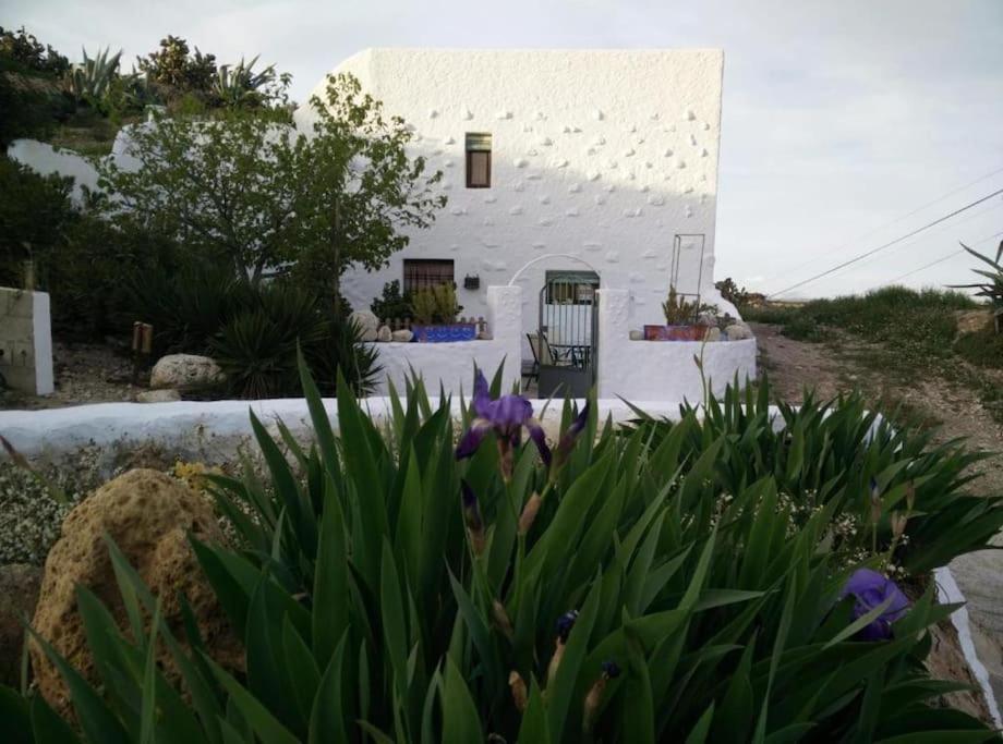 Cuevas Los Coloraos - La Residencia Villanueva de las Torres Екстериор снимка