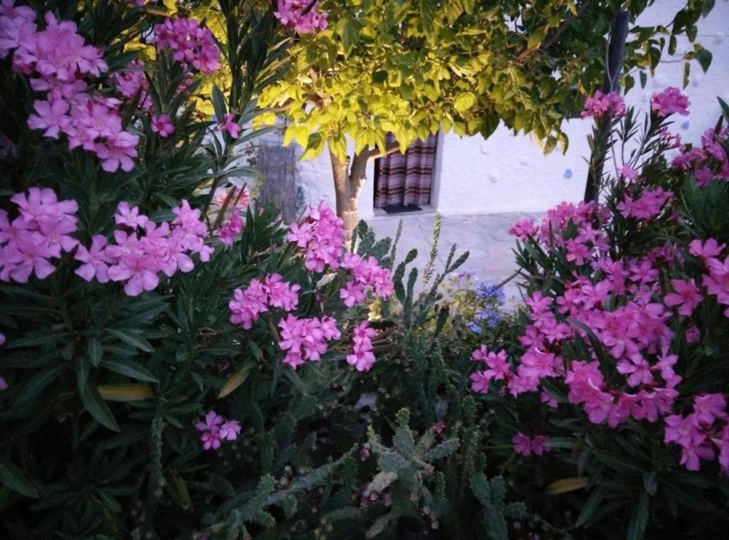 Cuevas Los Coloraos - La Residencia Villanueva de las Torres Екстериор снимка